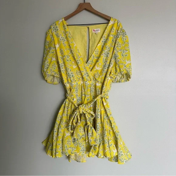 L’atiste by Amy Curvy Yellow Hummingbird Dress - Picture 7 of 12